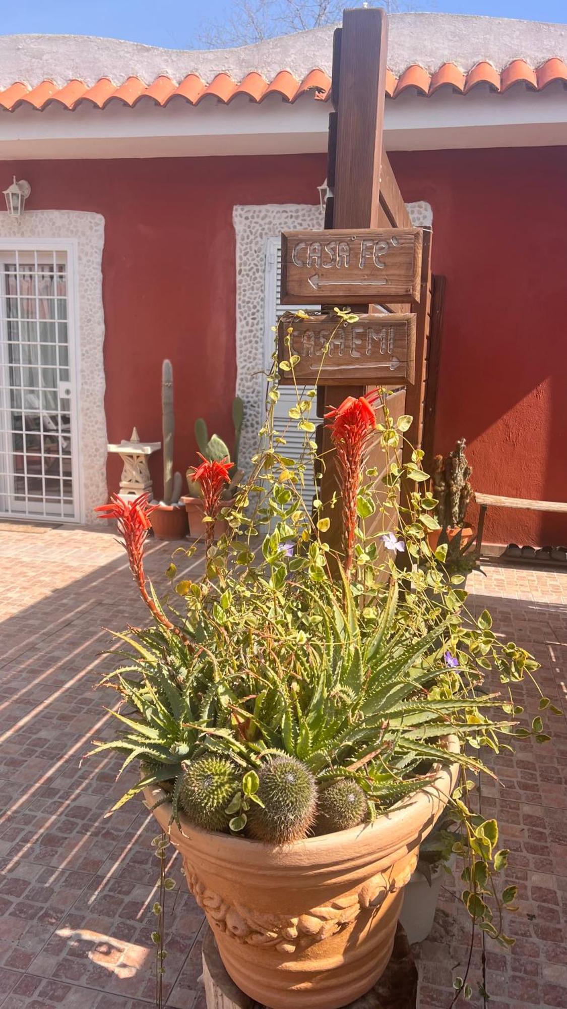 Casa Fe Apartman Fregenae Kültér fotó